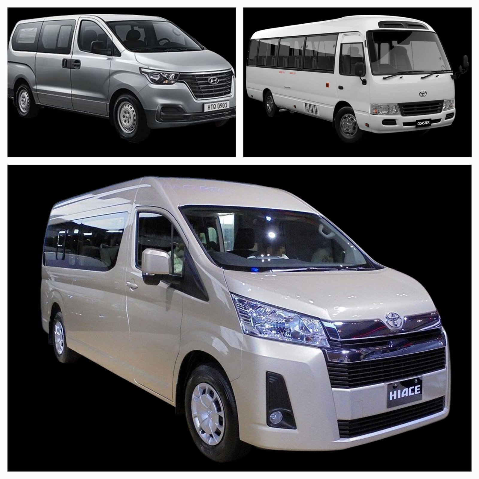Williams Servi Taxi & Tours Williams Servi Taxi & Tours